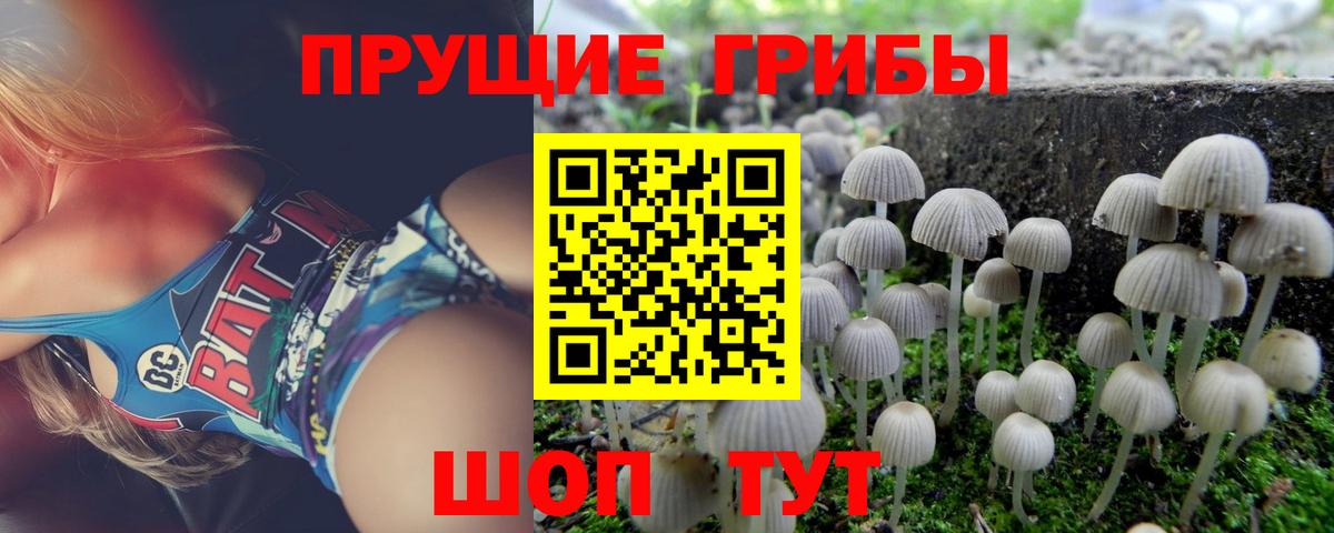 Псилоцибиновые грибы ЛСД  купить наркоту  Псилоцибиновые грибы прущие грибы  Когалым  Вход с VPN 